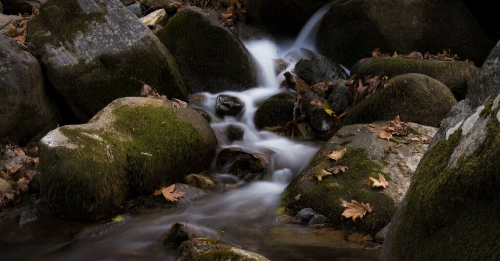 季節が静かに移ろうように、心の色も少しずつ変わっていく。今の色を知ることが、自分を大切にすること。