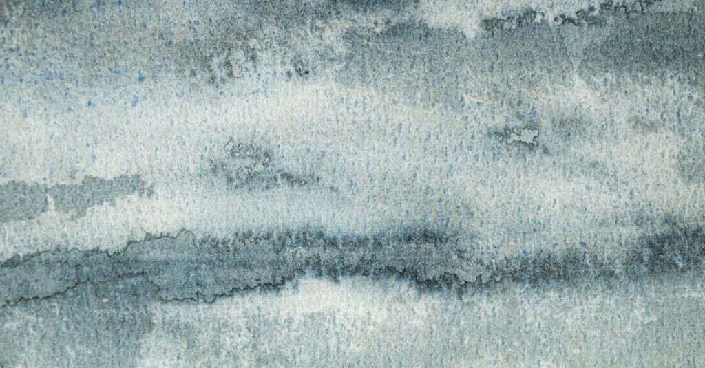やわらかな光・月・水・森。4つの色がそれぞれ、今の心の状態を静かに映し出している。