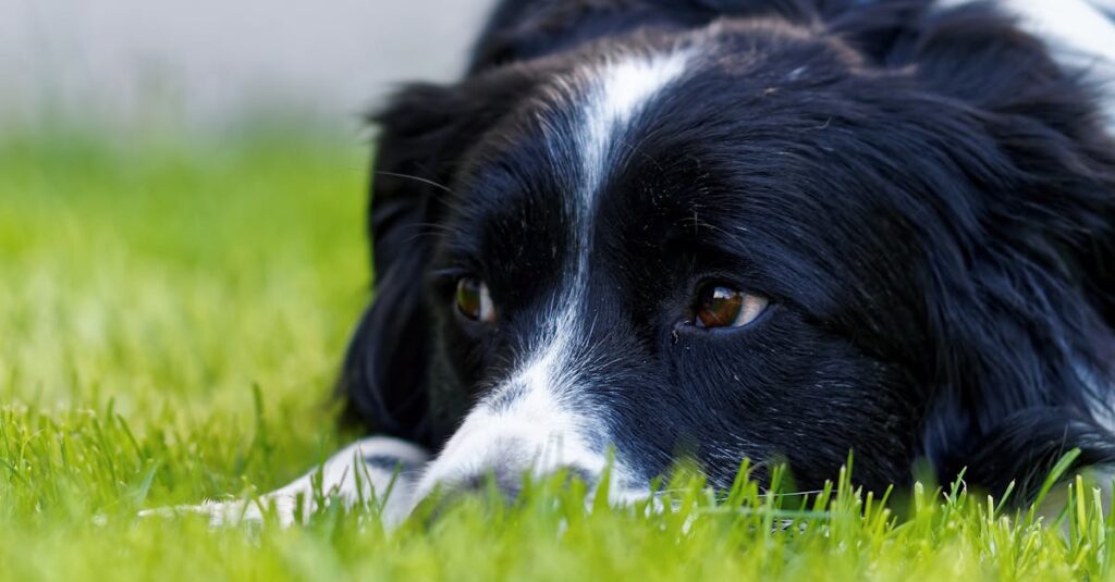 思考型の恋愛、考えすぎるアニメキャラのイメージ