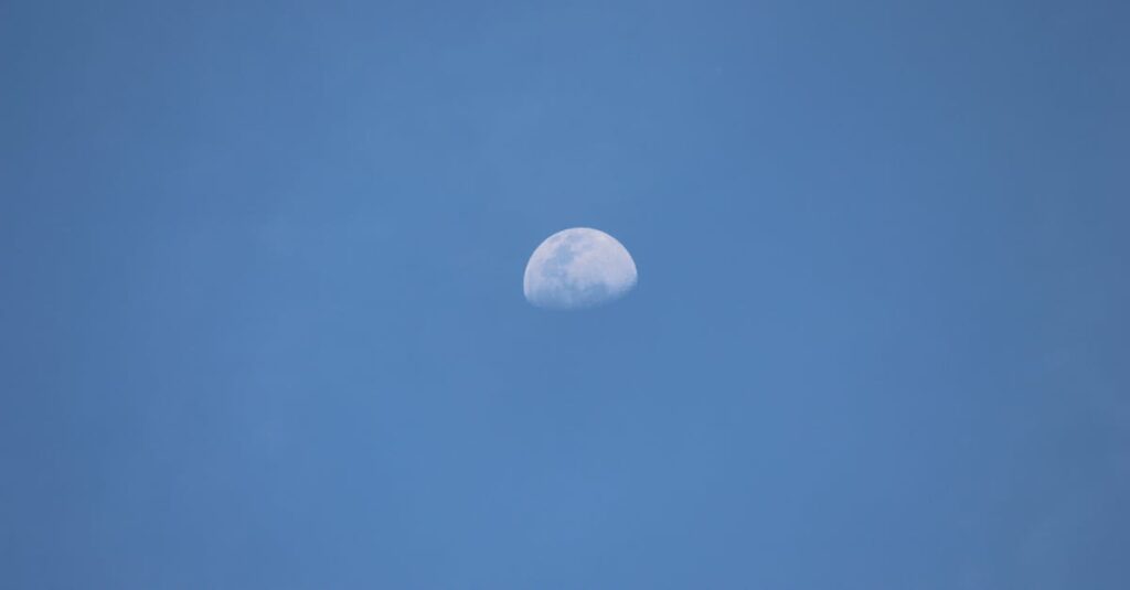 同じ空に静かに共存する太陽と月。互いを感じながら、世界を回している。
