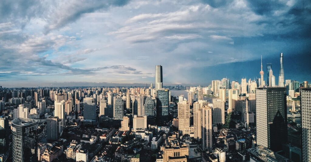 猫猫が柔らかく微笑むシーン、知性とぬくもりが共存する穏やかな雰囲気