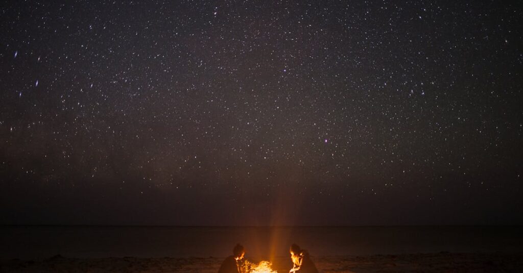 夜の焚き火と静かな自然、ゆるやかな癒しのイメージ
