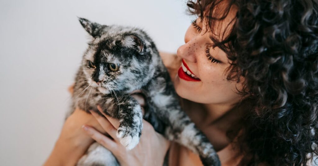 フェルンの素直な表情のアニメイメージ