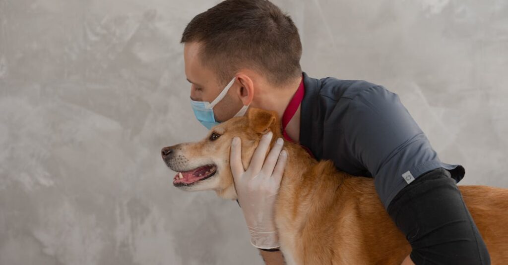 過去の自分をそっと癒すやさしいアニメ風キャラクターのイメージ