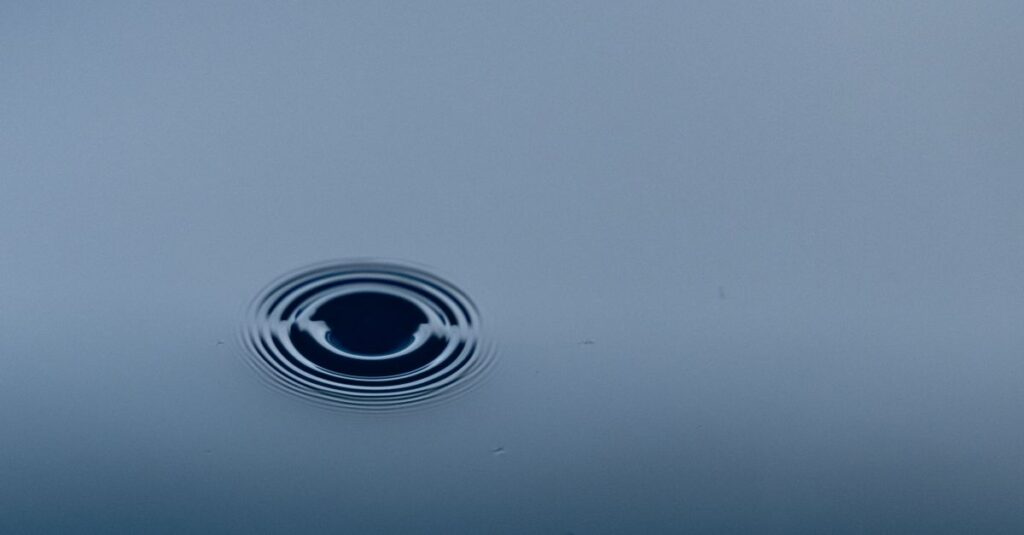 火・地・風・水の四元素が静かに調和する。あなたがどんな人に惹かれるか、星が知っている。
