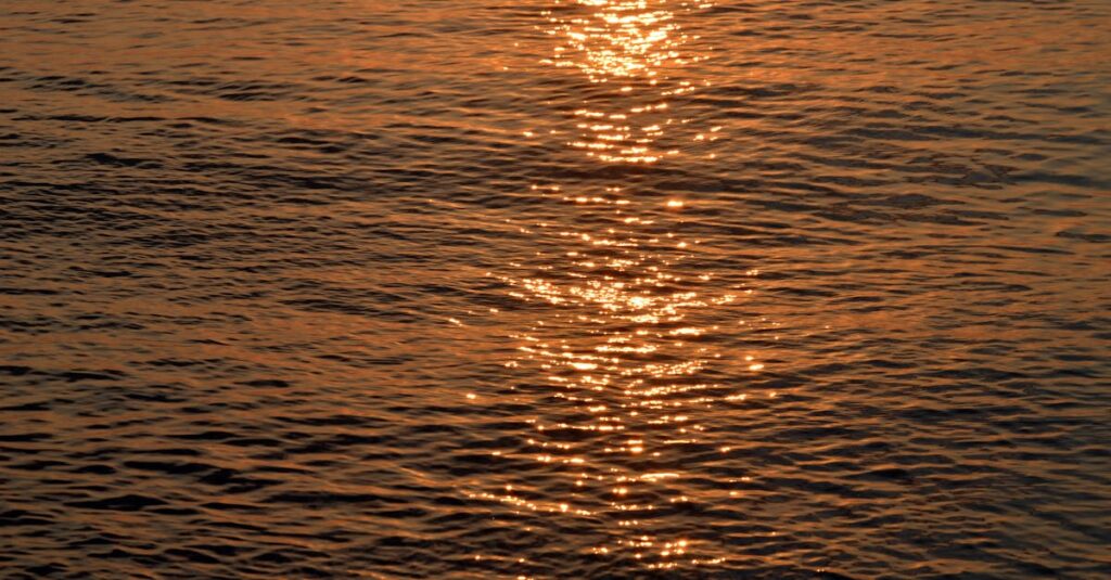 タロット《太陽》をイメージした、やわらかな金色の光。純粋な喜びと自己表現の象徴。