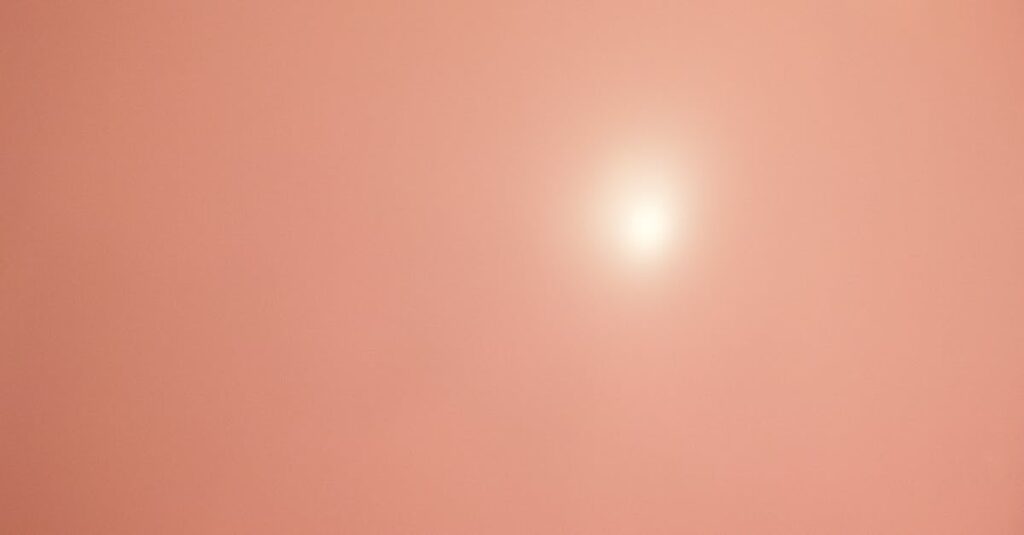 やわらかな光の中に共に輝く太陽と月。光と静けさが補い合うとき、世界は循環していく。