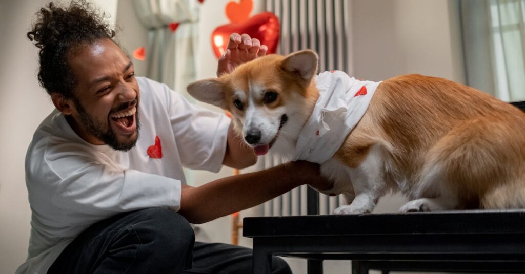 くすっと笑える日常アニメのほっこりしたイメージ