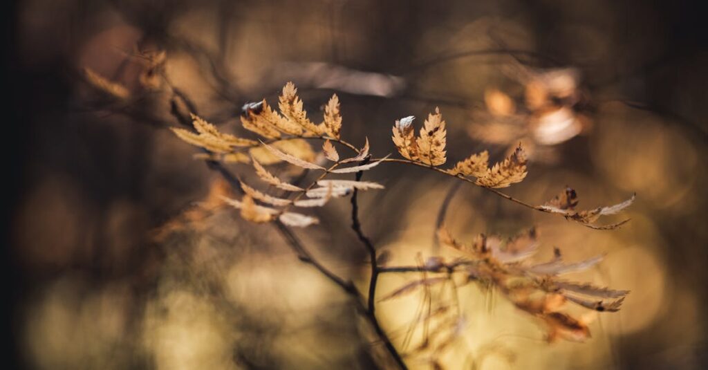 道の途中で空を見上げる女性。焦りを手放して答えを待つ静かな希望を象徴する風景。