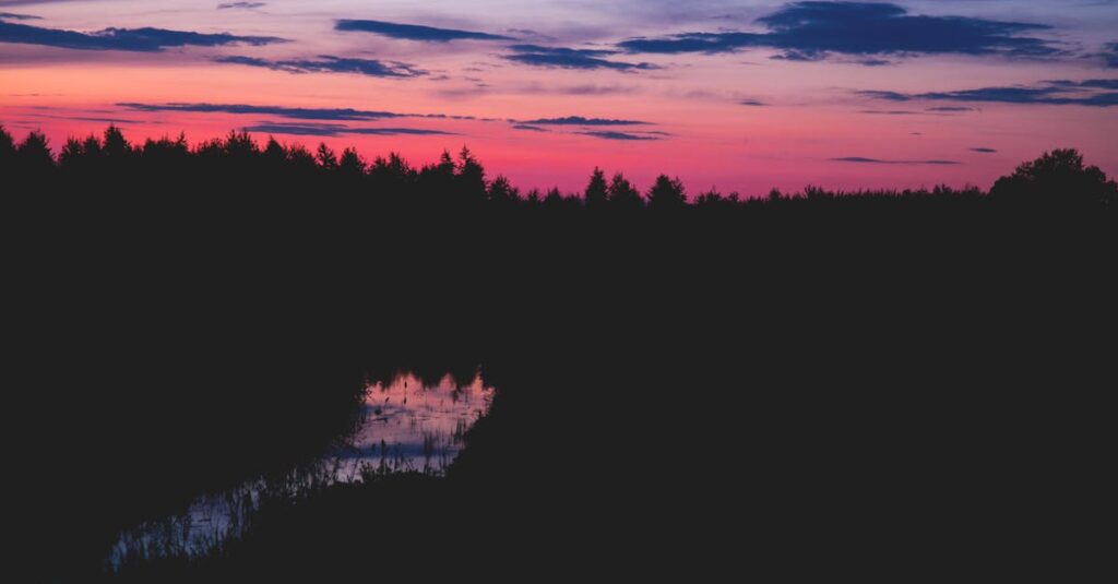 夕暮れの小道をゆっくり歩く姿。焦らなくても時間が味方になることを象徴する風景。