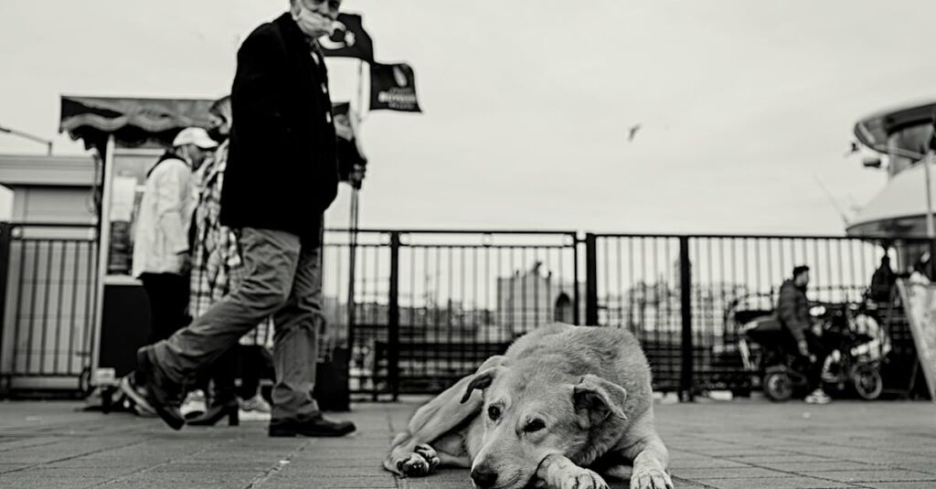 穏やかな日常が流れるアニメのワンシーン。何も起きていないのに、心がほどけていく静かな時間。