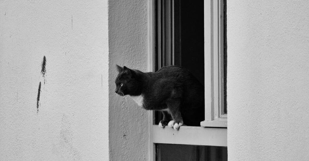 言葉を飲み込み静かに立ち尽くすアニメのキャラクター。沈黙の中に葛藤と優しさがにじむ夜の場面。