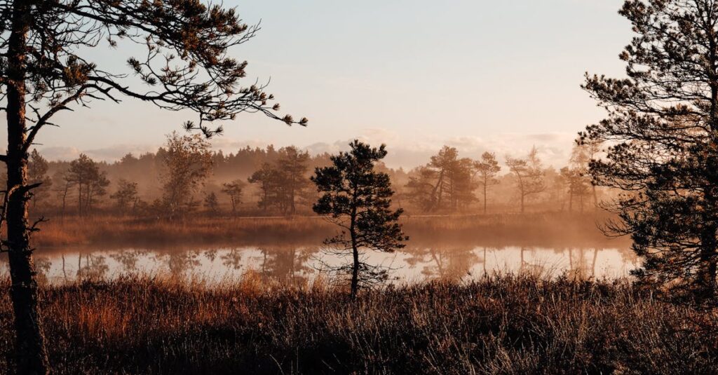 やわらかな朝焼けの空と静かな地平線。時間が静かに味方していることを象徴する風景。