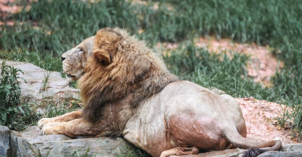 朝焼けの空に差し込む光。ゆっくりと生きる勇気を象徴する柔らかな風景。