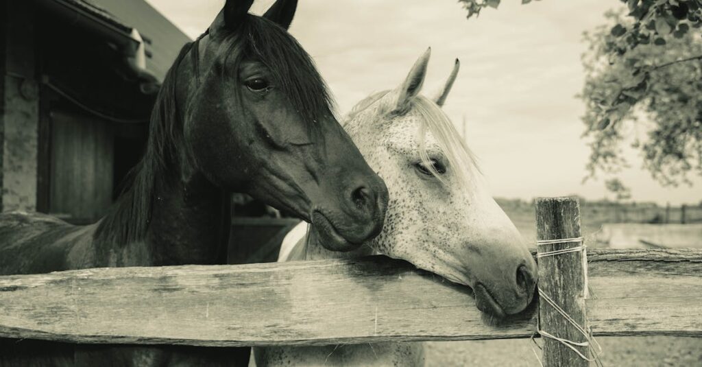 言葉を交わさず、同じ空間で過ごすアニメの登場人物たち。沈黙がやさしく感じられる夜の場面。