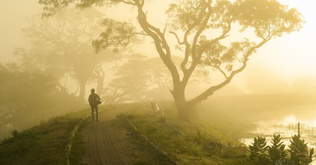 霧の中を一歩だけ踏み出す静かな情景。こわさを抱えたまま前に進む小さな勇気を象徴する風景。