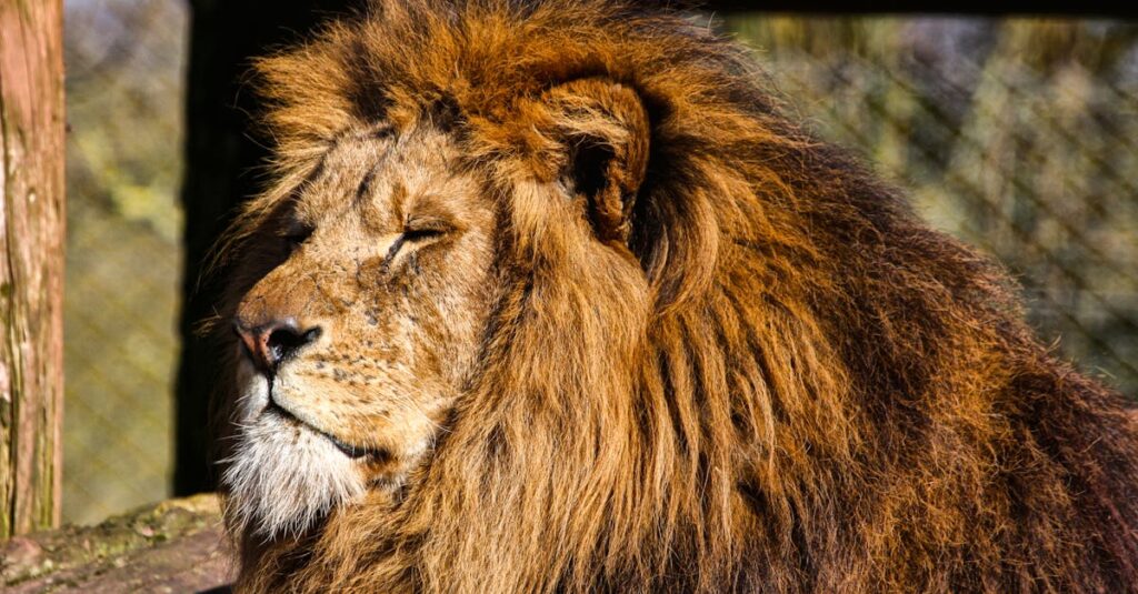 心の距離を保ちながら優しく寄り添う二人の影。わかり合えない夜に灯る光の象徴。