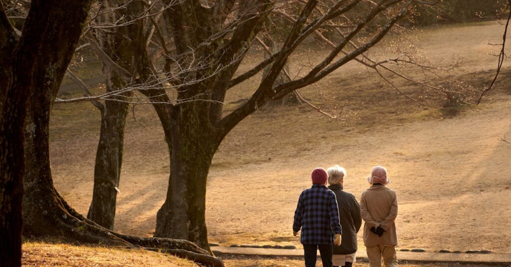 木漏れ日の中をゆっくり歩く小道。急がなくてもいい旅を象徴する風景。