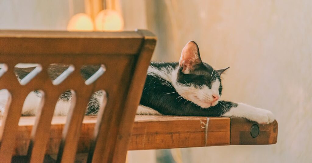 見えない重さを背負いながら静かに佇む女性。優しくしなきゃの疲れを象徴する風景。