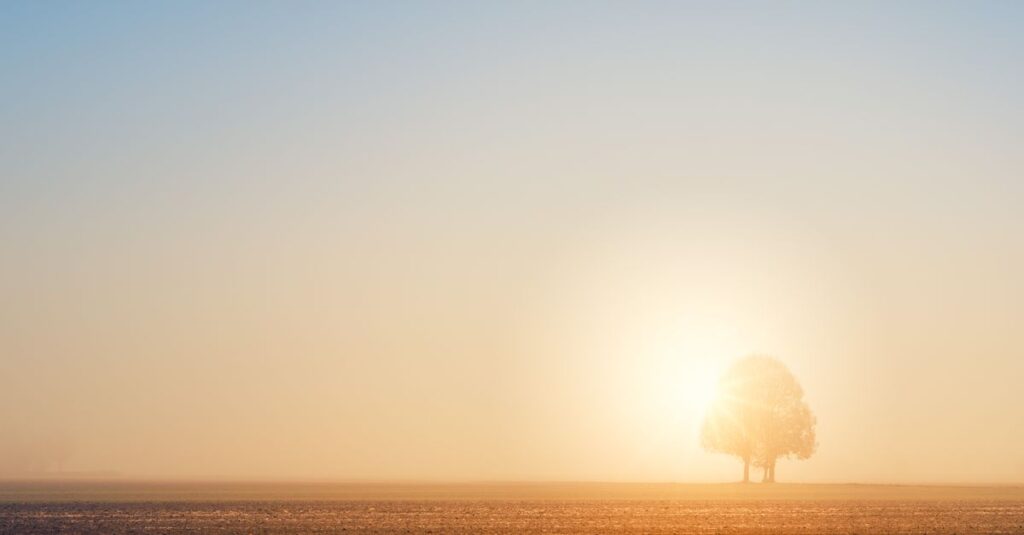 やわらかな朝の光が広がる地平線。空回りの先にも、物語はちゃんと続いている。