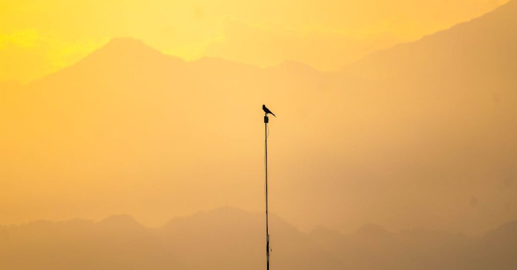 少し距離を置いて立つ二人の影。合わせすぎてしまう心の揺れを象徴する風景。