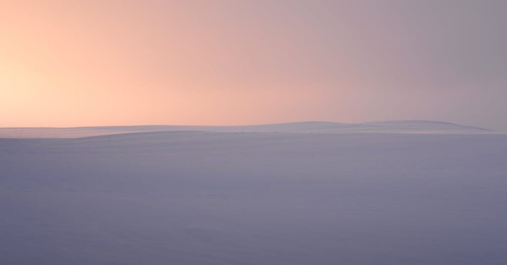 やわらかな朝の光が広がる地平線。空回りの先にも、物語はちゃんと続いている。