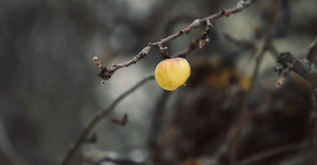 言葉のない静かな時間を描いたアニメのワンシーン。夕暮れの部屋で、何も起きていないのに心が落ち着く空気感。