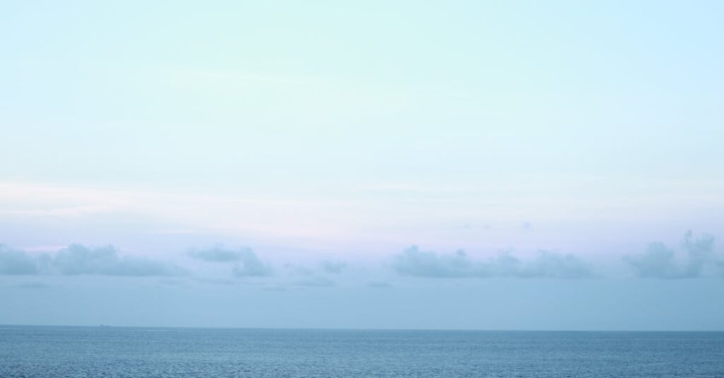 やわらかな朝の光が広がる地平線。空回りの先にも、物語はちゃんと続いている。