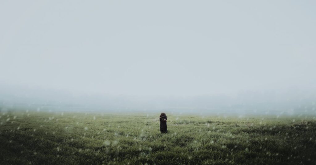 広い草原でひとり立ち止まる旅人。進みたい気持ちと、立ち止まる時間が共存している。