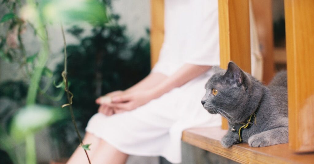 木陰のベンチでゆっくり休む女性。ちゃんとしなきゃを手放してゆるやかに生きる静かな自由を象徴する風景。