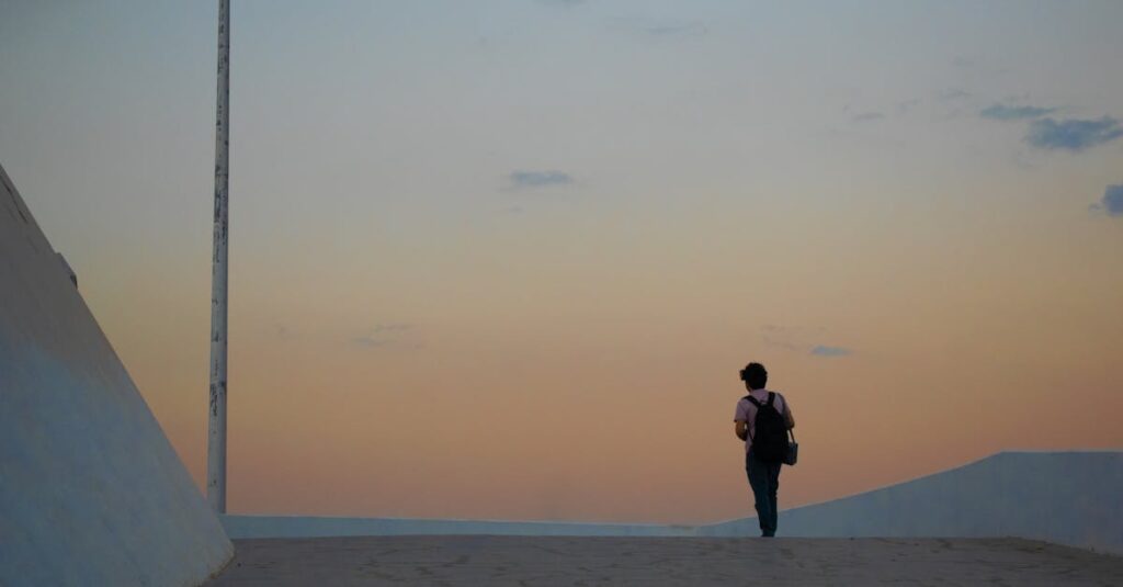 夕暮れの分かれ道に立ち、未来を考える人物。選択肢の多さに立ち止まる心を象徴する風景。