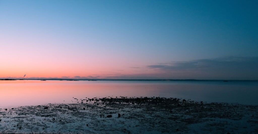 やわらかな朝の光が広がる地平線。時間が味方になり、静かに未来が拓けていく風景。