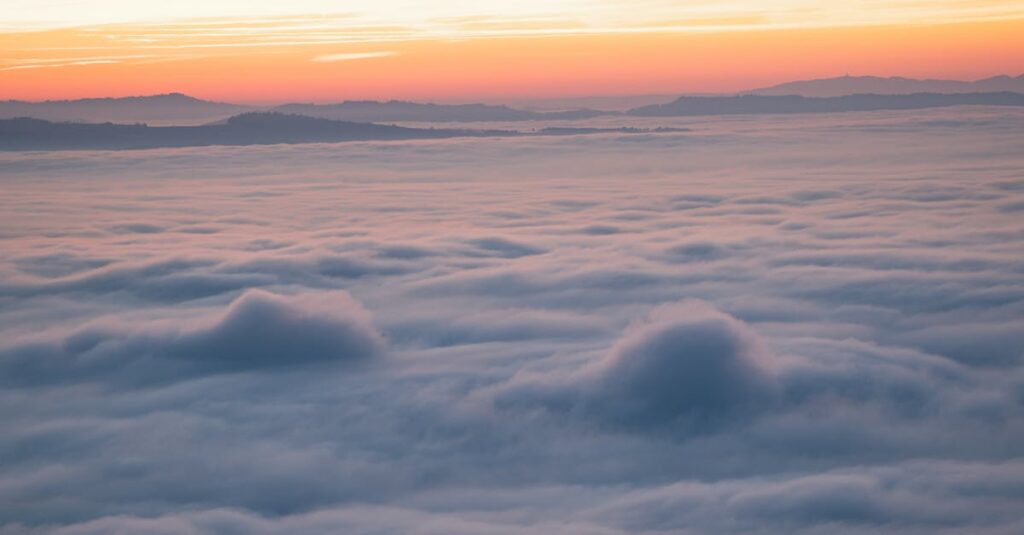 やわらかな朝の光が広がる地平線。時間が味方になり、静かに未来が拓けていく風景。