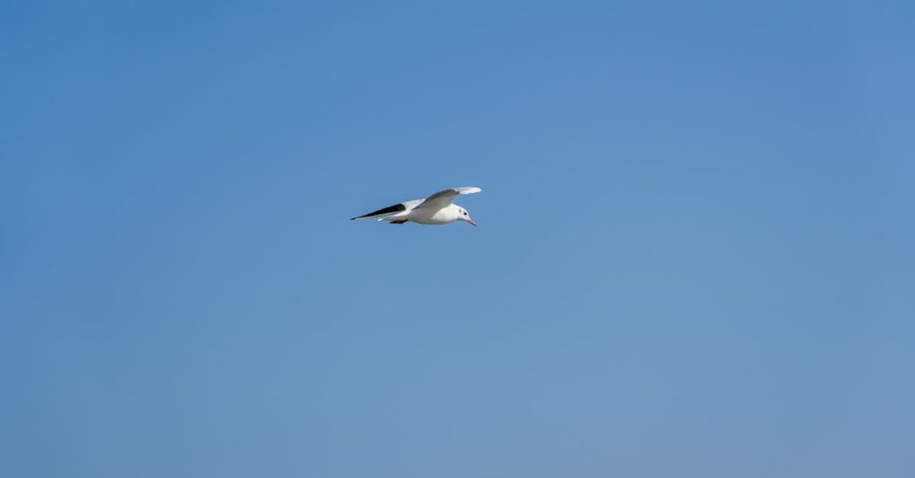 朝焼けの光の中で静かに立つ人物。孤独を抱きながらも自由を感じる穏やかな風景。