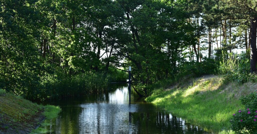 ネオ・ヴェネツィアの穏やかな運河に差す光。ゆっくりと流れる時間と心の静けさを象徴する風景。