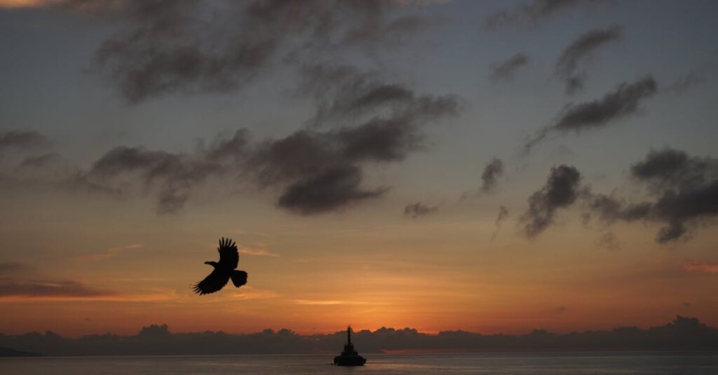 夕暮れの小道に差し込む光。急がなくても進んでいる時間を象徴する風景。