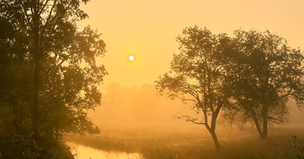 やわらかな朝の光が広がる風景。感受性が未来を豊かにすることを象徴するイメージ。