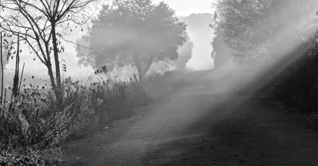 霧の中を一歩だけ踏み出す静かな情景。こわさを抱えたまま前に進む小さな勇気を象徴する風景。