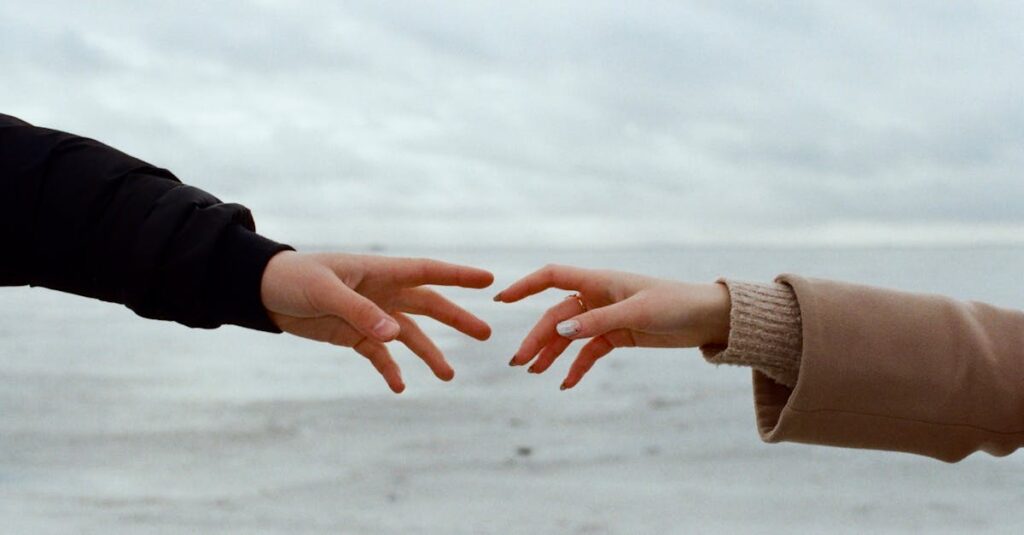 差し出された手にやさしく応えながらも境界を示す情景。応えなくていい期待を選ぶ静かな勇気を象徴する風景。