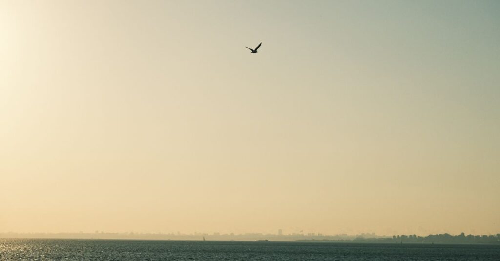 やわらかな朝の光が広がる地平線。空回りの先にも、物語はちゃんと続いている。