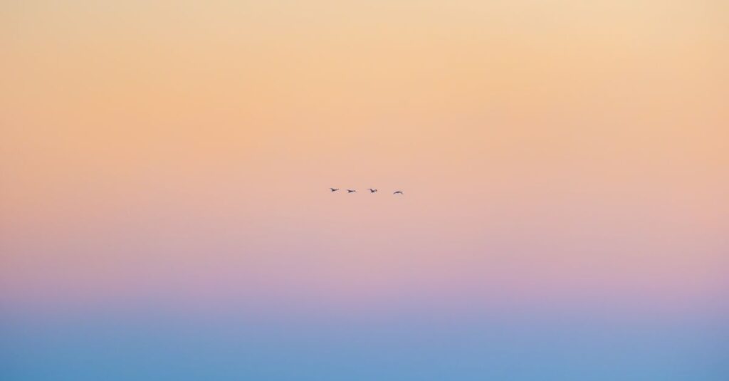やわらかな朝の光が広がる地平線。時間が味方になり、静かに未来が拓けていく風景。