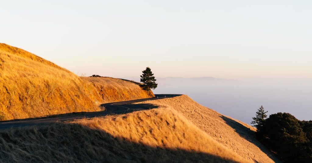 やわらかな朝焼けの中、遠くまで続く道。未来は跳ぶものではなく積み重ねの先にあることを象徴する風景。