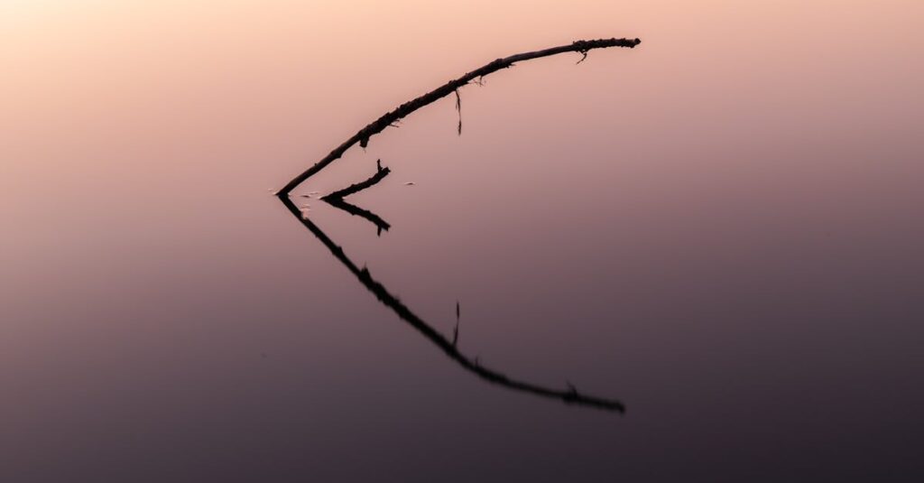 やわらかな朝の光が広がる地平線。時間が味方になる希望を象徴する風景。