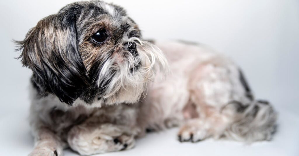 夜、静かに横たわる疲れた女性。見えないチェックリストを抱えて消耗した日々を象徴する風景。