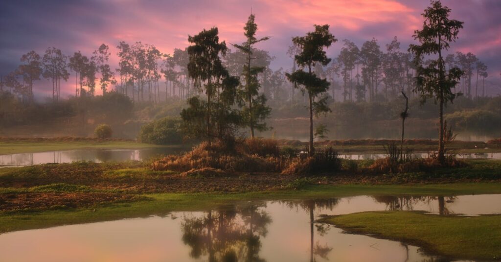 夕暮れの分かれ道に立つ旅人。いくつもの未来を想像できる心を象徴する風景。