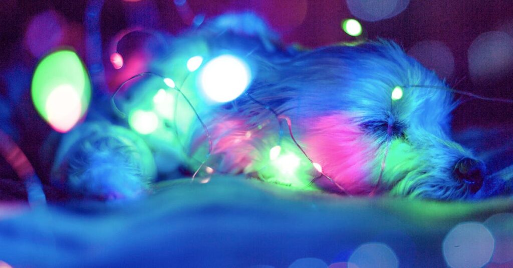 焚き火のそばで静かに休む旅人。立ち止まる時間も物語の一部であることを象徴する風景。