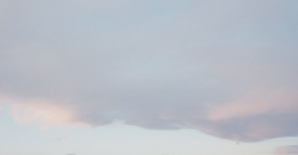 やわらかな朝の光が広がる地平線。空回りの先にも、物語はちゃんと続いている。