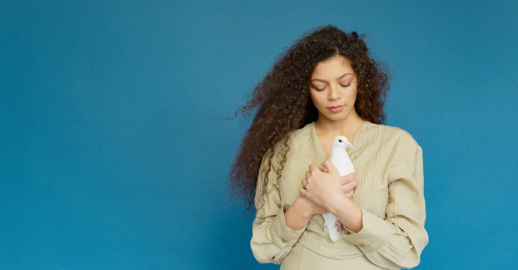 やわらかな朝の光が広がる風景。感受性が未来を豊かにすることを象徴するイメージ。