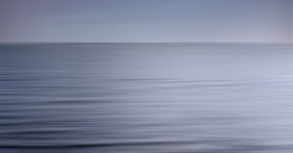 やわらかな光の中で静かに目を閉じる姿。選択を急がず心を整える時間を象徴する風景。