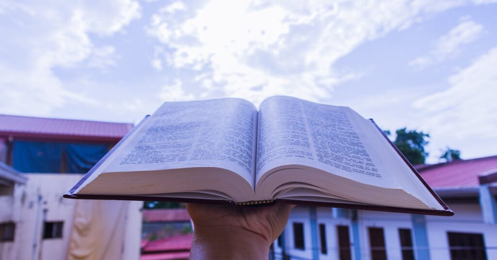 やわらかな光の中で静かにページが開かれる。あなたの物語は、今どの章にいますか。